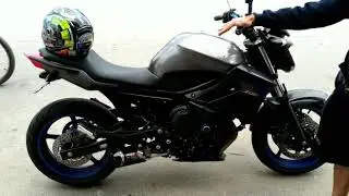 XJ6 berrando !!