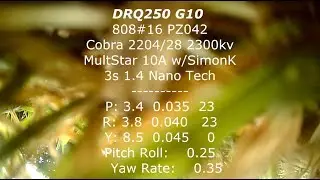 DRQ250 - FPV-  Testing new PIDS