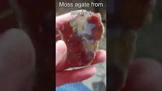 Very Nice Mexican Moss Agate!! Ontario Rockhounding,