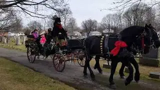Home for the holidays carriage ride
