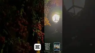 Quick CapCut Tutorial Night light #effects #shorts #urban
