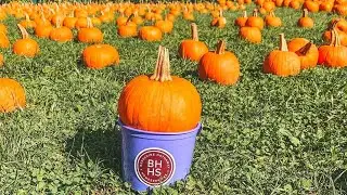 Long Island Lifestyle: Pumpkin Picking at Albert H. Schmitt Family Farm