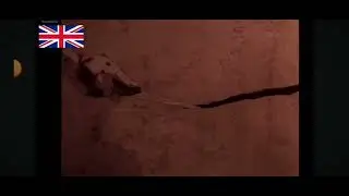 London Bridge Is Falling Down - Jack The Ripper. Record of Ragnarok 
