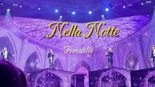 Nella Notte Forestella original Canzone #260117(토) 대구 엑스코 #넬라노떼 #넬라노테 #포레스텔라 #오리지널 #칸초네 #레거시 #대구