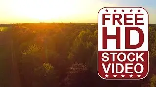 Free Stock Videos &ndash; Netherlands drone flying above forest and turning