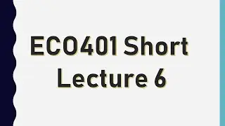 ECO401 Short Lecture 6