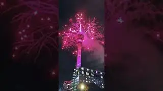 Happy New Year from Auckland New Zealand 🇳🇿 #newyear #fireworks 