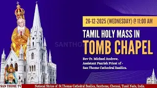 🔴🅻🅸🆅🅴| Holy Mass From Tomb Chapel in Tamil (26-12-25 @ 11.00 a.m)
