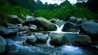 🍃 Soft Mountain River ASMR Sounds for Deep Sleep, Relaxation & Calm Focus