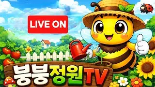 붕붕정원 🌵🐰 라이브 방송