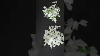 #onam#onamflower#onamcrafts#jasmine