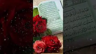leave one task achieve heaven یہ کام چھوڑیں جنت حاصل کریں 