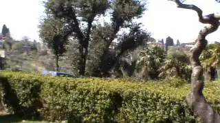 Florence MichelAngelo Hill and Small Garden