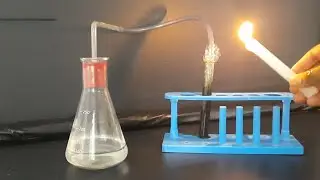 10th Science, Activity 2.3
