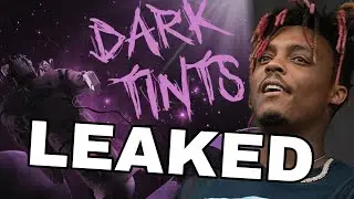DARK TINTS LEAKED?!! MY BIGGEST GRAIL + TPNE News