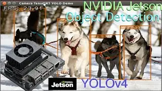 NVIDIA Jetson Xavier NX Object Detection with YOLOv4-416