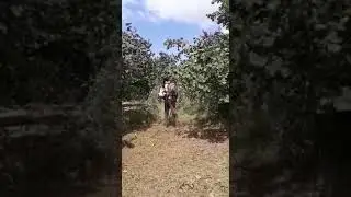 stihl Fr 480