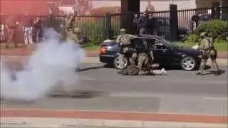 Special Task Force Simulation 2010 FIFA World Cup