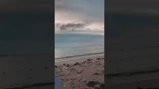 Reading on the beach ft.  wave sounds #books #beach #read #sea #asmr #waves #peaceful