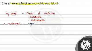 Cite an example of mixotrophic nutrition?
