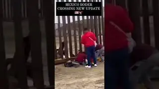 usa#donkey#haryana#trending video#shorts#Donkey staff#karnal #mexicoborder#dollar 💵💵#usa 🇺🇲