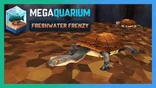 TURTLE BAY & HYBRIDS | Barachi | Megaquarium Freshwater Frenzy DLC