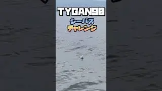 #TYGAN #秦拓馬 #シーバス　秦拓馬監修ルアータイガン90中海のシーバスに反応するのか？かかるのか？かからないのか？どっちなんだい！？