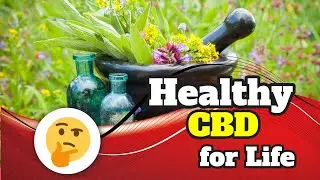 CBD Oil Shelf Life, learn More