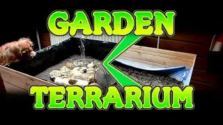 How to Make Tortoise Terrarium or Interior Garden at Home | D Workshop