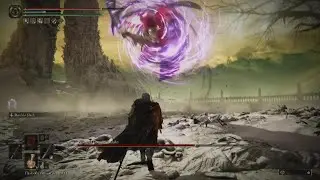 ELDEN RING Shadow Of The Ertree Promised Consort Radahn Part 2