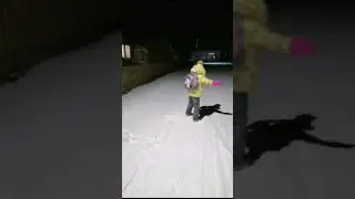 регион 11