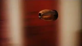 BULLET Slow Motion