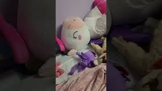 All of my stuffed animals collected 