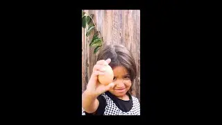 Egg ON The Head #Shorts | Spin The Wheel Mystery Challenge | Dizaa Break The Egg