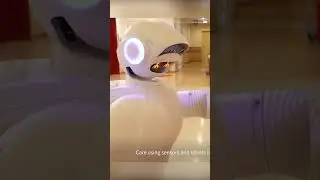 This robot cares for the elderly