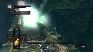 (Dark Souls) Killing The Moonlight Butterfly With Witch Beatrice