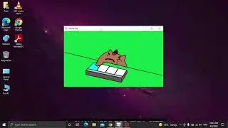 my first cat mania i make it