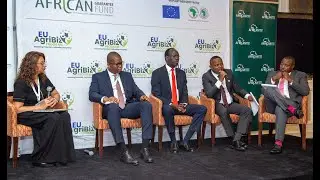 Unlocking Agribusiness Potential: EU Agribiz Forum Champions Inclusive Financing for Women and Youth
