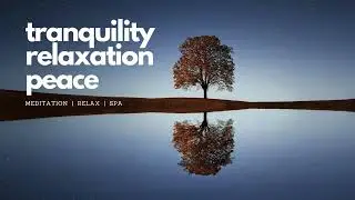one hour tranquility relaxation music  (meditation relax spa sleep massage music)