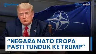 Negara-negara NATO Eropa Disebut akan Tunduk ke Trump: Lakukan Apa pun Termasuk Perebutan Greenland