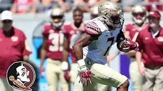 Florida State Football Spring Game Highlights (2016)
