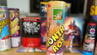 Monthly Rose Crackling Fountain by Tiger Fireworks