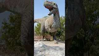 Dinosaur Fossil Park & Museum | 