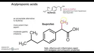 Arylproponic acid group - Ibufenac and Ibuprofen