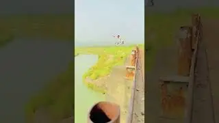 jump in dam swimming video