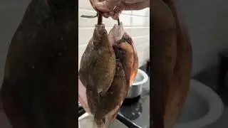 Goan Local Lepo Fish | Gaunti Nuste Lepo
