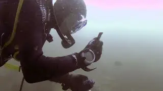 Scuba dive at White Point, southern California