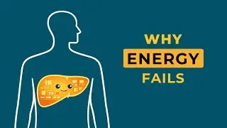 Why Fatigue, Cravings, and Brain Fog All Start in Your Liver
