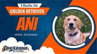 Ani: Training Success Story!(Door Manners)
