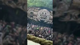 Atriohm Live @ MoDem Festival 2025